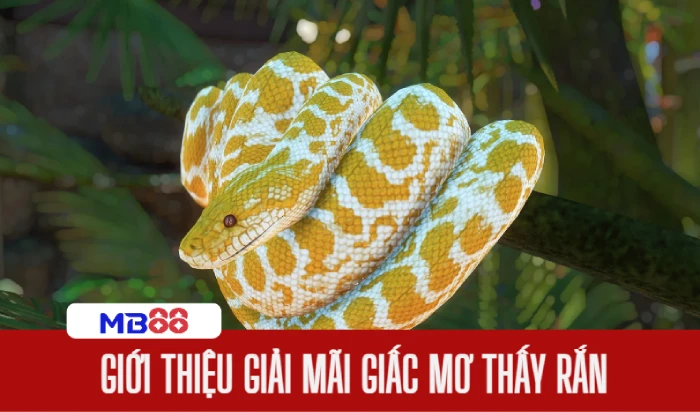 Nằm mơ thấy rắn đánh số gì, ý nghĩa và con số may mắn 1 Giới thiệu về Nằm mơ thấy rắn đánh số gì