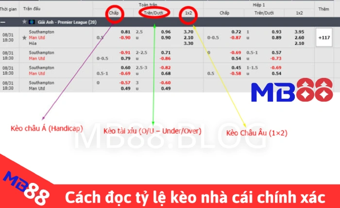 Kèo nhà cái - Keonhacai 5 - Keo nha cai hôm nay 2 Cách đọc tỷ lệ kèo nhà cái chuẩn xác